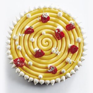 stampo-top-ipnosi-grande-pavoni-TOP06S